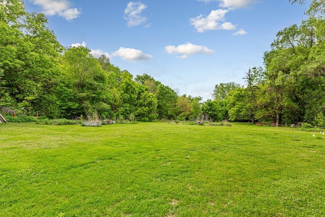 32673 Rosewood Ln, Saint Peter, MN 56082 - view of green lawn featuring a wooded view