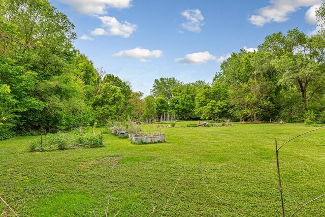 32673 Rosewood Ln, Saint Peter, MN 56082 - view of green lawn with a vegetable garden