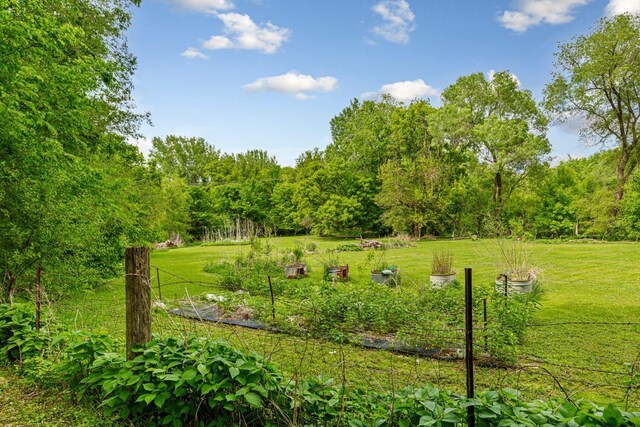 32673 Rosewood Ln, Saint Peter, MN 56082 - view of grassy yard with a wooded view