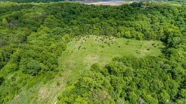 32673 Rosewood Ln, Saint Peter, MN 56082 - aerial view of a heavily wooded area
