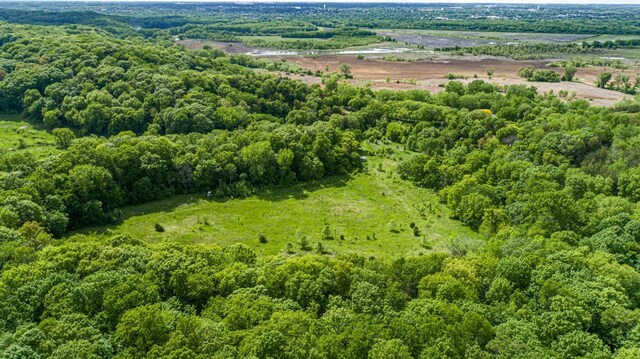 32673 Rosewood Ln, Saint Peter, MN 56082 - aerial view of a forest