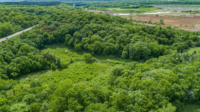 32673 Rosewood Ln, Saint Peter, MN 56082 - aerial view of a heavily wooded area
