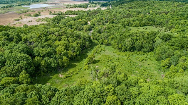 32673 Rosewood Ln, Saint Peter, MN 56082 - aerial overview of property's location featuring a forest