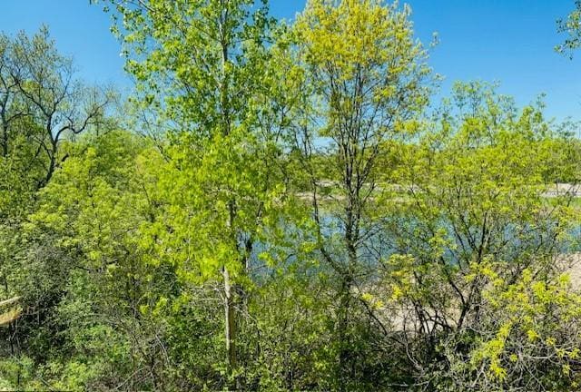 587 Crane Creek Ln, Eagan, MN 55121 - view of wooded area