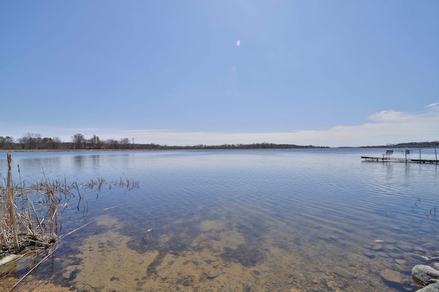 29387 Era Ln, Burtrum, MN 56318 - photo 4