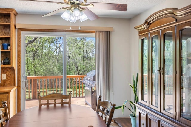 entryway featuring a ceiling fan and a textured ceiling