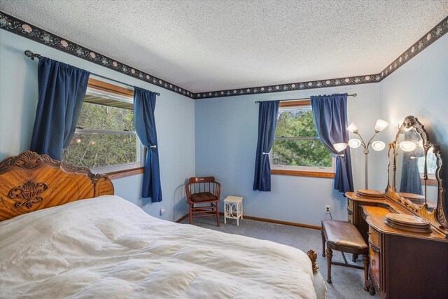 carpeted bedroom featuring multiple windows, a textured ceiling, and baseboards