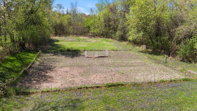 view of yard featuring a view of trees