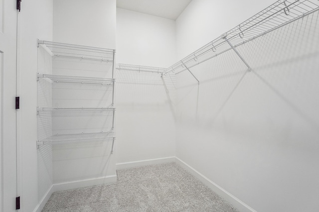 walk in closet featuring carpet floors