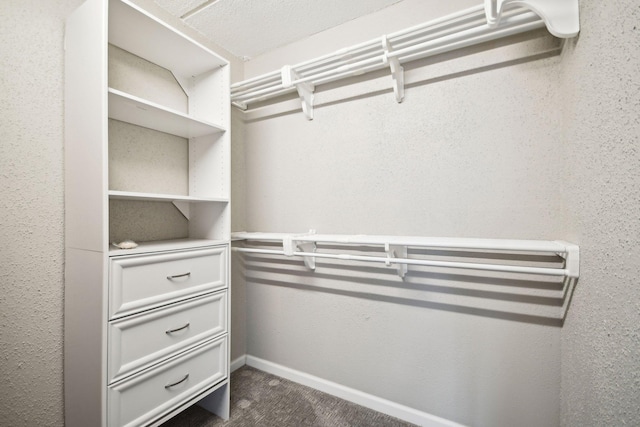329 Geneva Ave N Unit 212, Oakdale, MN 55128 - view of spacious closet
