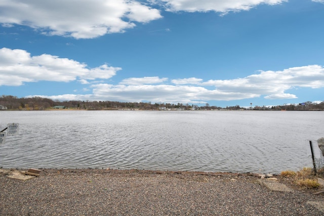 329 Geneva Ave N Unit 212, Oakdale, MN 55128 - property view of water