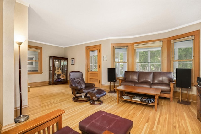 1757 Minnehaha Ave W, Saint Paul, MN 55104 - living area featuring wood finished floors, crown molding, and baseboards
