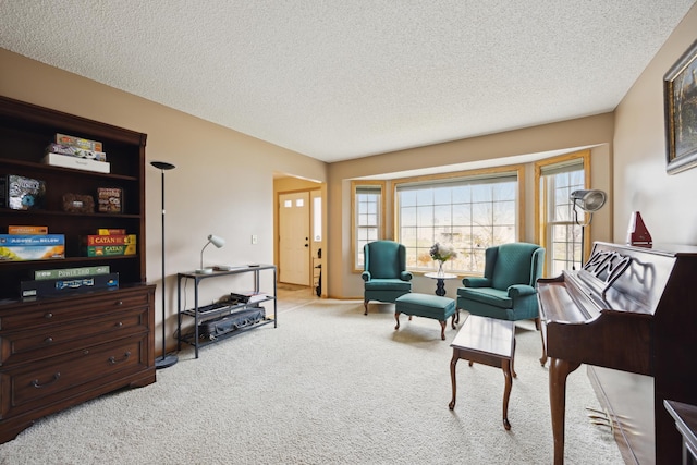 640 Falcon Ridge Rd, Woodbury, MN 55125 - living area featuring carpet floors and a textured ceiling