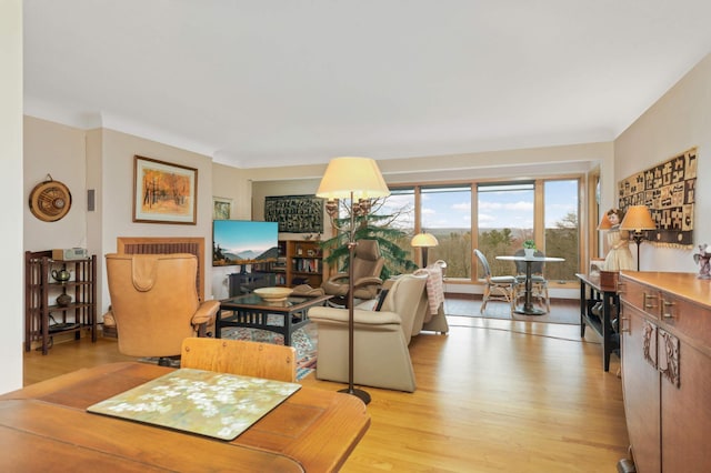 living area featuring light wood-type flooring