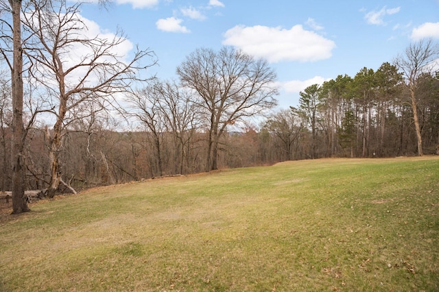 view of yard with a forest view