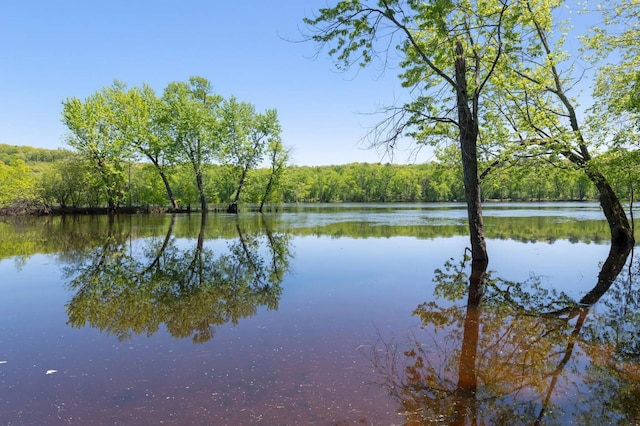 water view with a view of trees