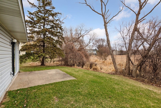 view of yard with a patio