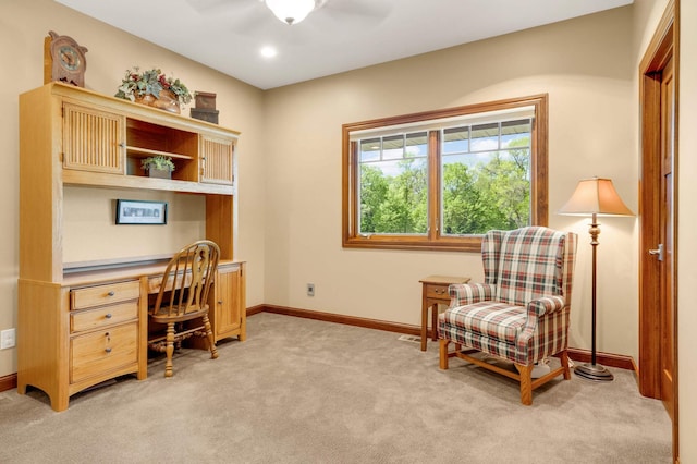 141 Woods Dr, Le Sueur, MN 56058 - photo 16