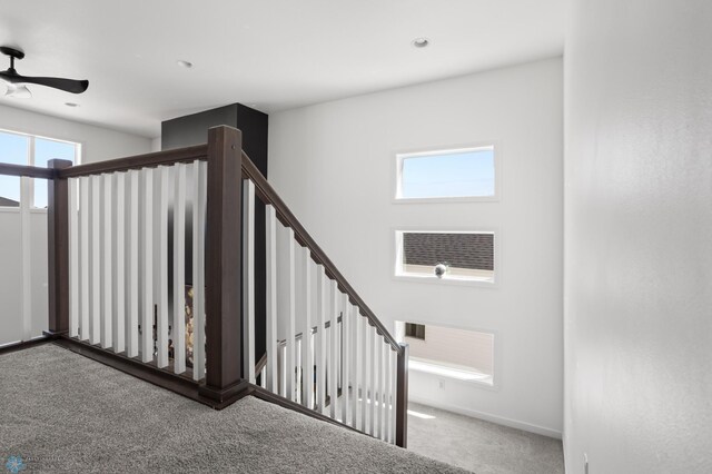 5497 11th St W, West Fargo, ND 58078 - stairway with a ceiling fan and carpet floors