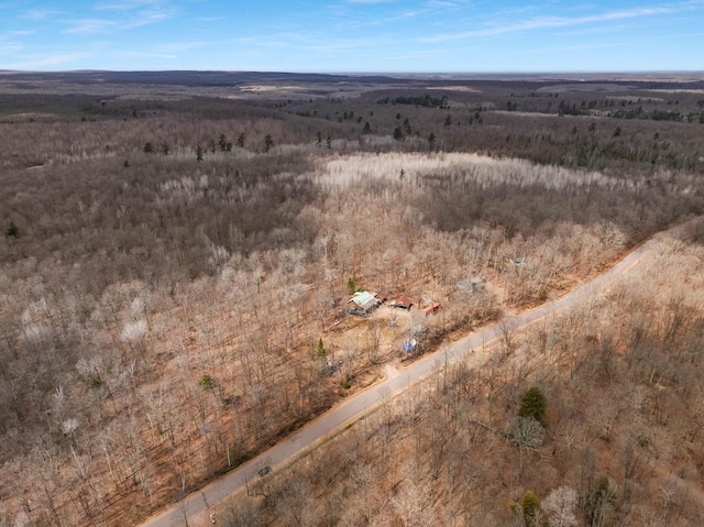 drone / aerial view featuring a rural view