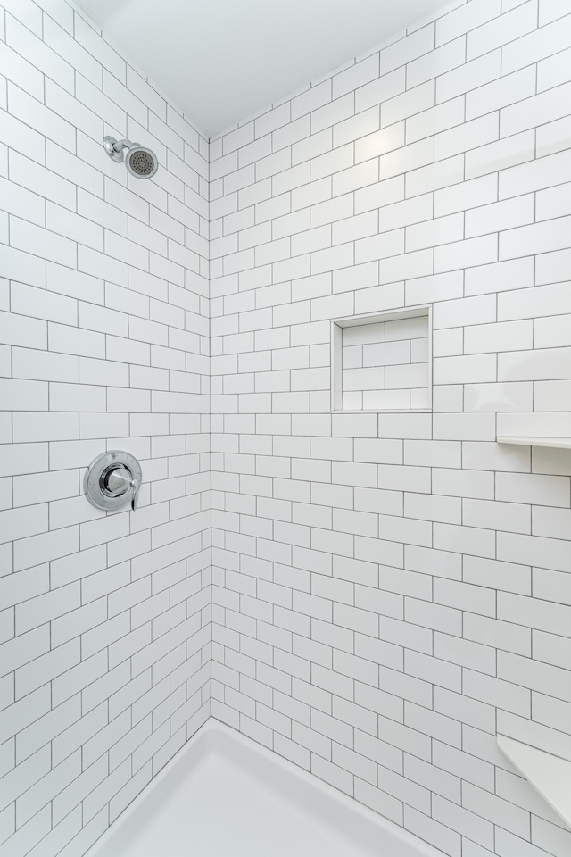4594 Buckingham Dr NW, Rochester, MN 55901 - full bath with tiled shower