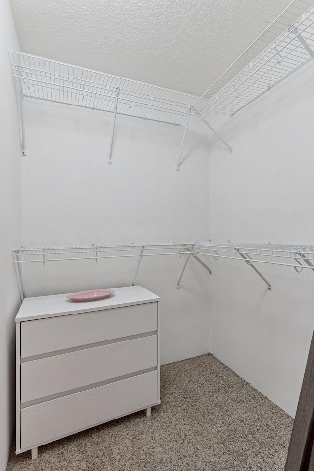 1584 Merrill St, Saint Paul, MN 55108 - walk in closet featuring light carpet