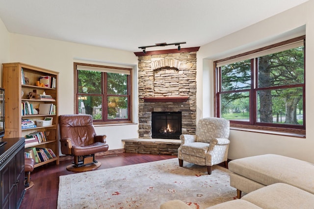 1584 Merrill St, Saint Paul, MN 55108 - living room with a fireplace, dark wood-style flooring, and rail lighting