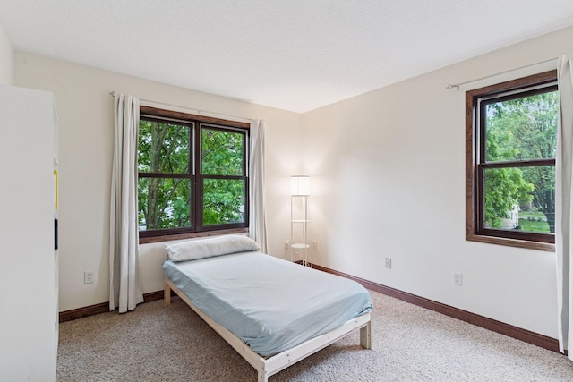 1584 Merrill St, Saint Paul, MN 55108 - bedroom featuring multiple windows and light colored carpet