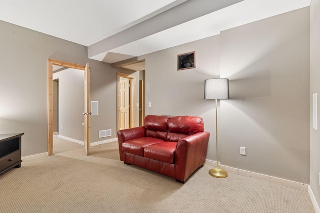 1584 Merrill St, Saint Paul, MN 55108 - living area with carpet floors