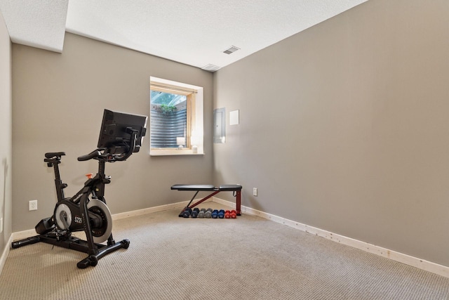 1584 Merrill St, Saint Paul, MN 55108 - exercise area with carpet floors and baseboards