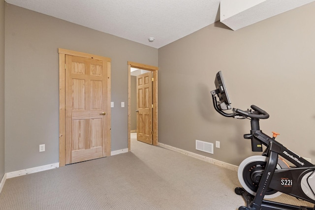 1584 Merrill St, Saint Paul, MN 55108 - workout room with baseboards and carpet flooring