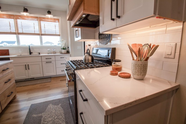 8825 Meadowlark Pkwy, Horace, ND 58047 - kitchen featuring custom range hood, light wood-type flooring, gas stove, backsplash, and a sink