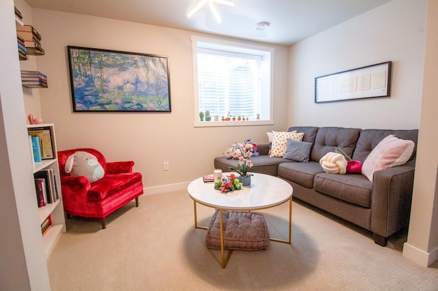 8825 Meadowlark Pkwy, Horace, ND 58047 - living room with carpet flooring and baseboards