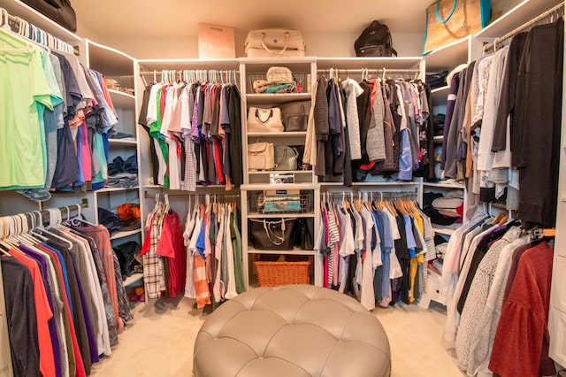8825 Meadowlark Pkwy, Horace, ND 58047 - spacious closet featuring carpet