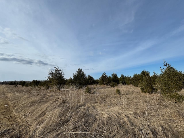 view of local wilderness featuring a rural view