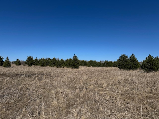 view of local wilderness featuring a rural view