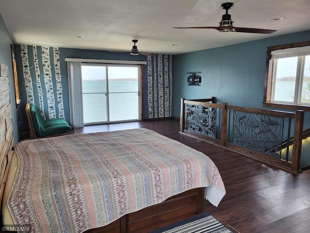 12972 Big Kandi Dr, Lake Lillian, MN 56253 - bedroom with wood finished floors, ceiling fan, and multiple windows