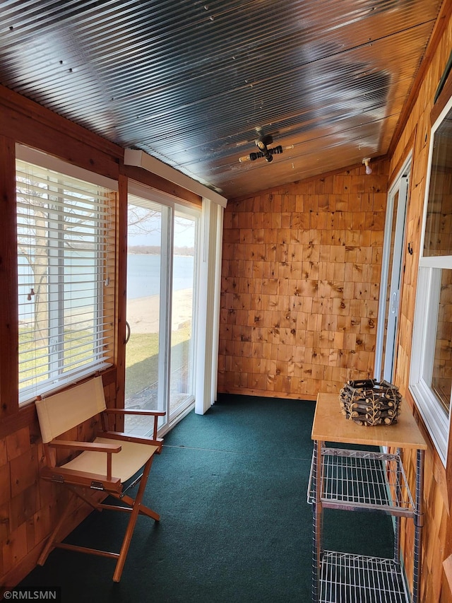 12972 Big Kandi Dr, Lake Lillian, MN 56253 - unfurnished sunroom featuring a wealth of natural light
