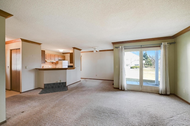 unfurnished living room with ornamental molding, a textured ceiling, and carpet
