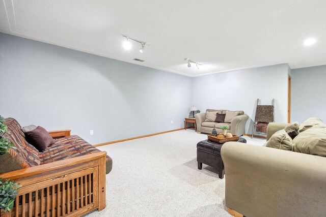 17471 165th St SE, Big Lake, MN 55309 - living room with carpet flooring, track lighting, and baseboards