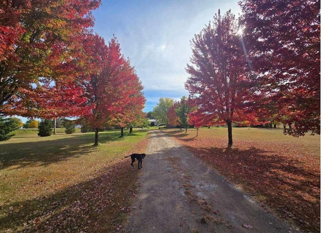 17471 165th St SE, Big Lake, MN 55309 - view of street