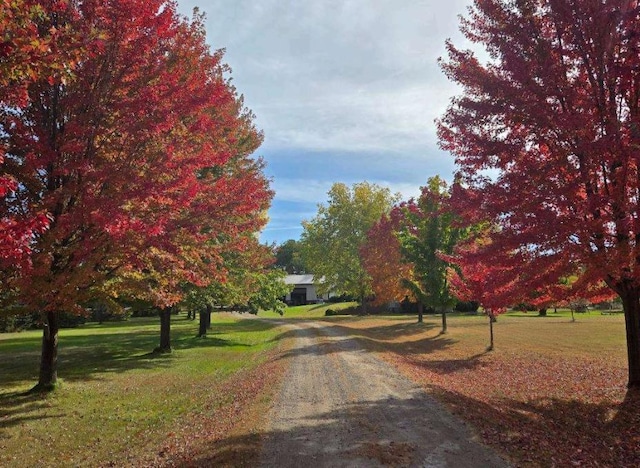 17471 165th St SE, Big Lake, MN 55309 - view of street