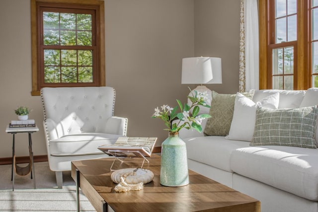living area featuring plenty of natural light and baseboards