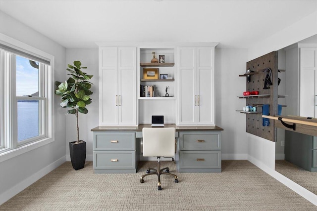 2041 Oak St, Lake City, MN 55041 - office featuring baseboards, built in study area, and light colored carpet