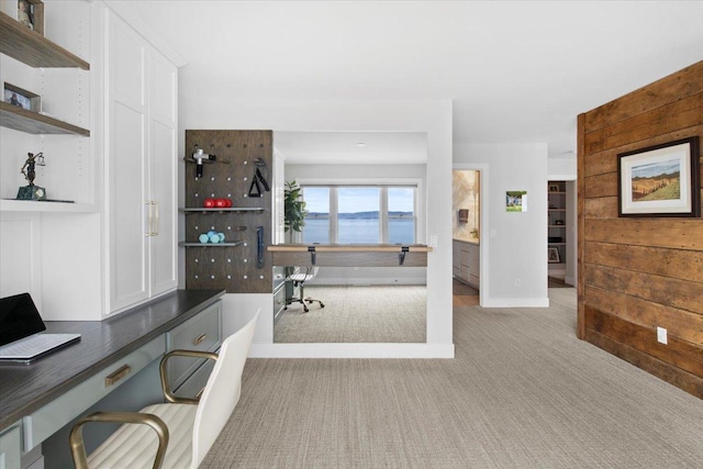 2041 Oak St, Lake City, MN 55041 - carpeted office with baseboards, wood walls, and a water view