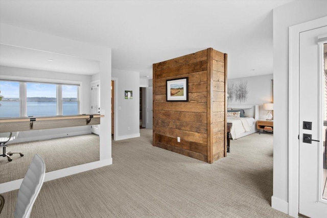 2041 Oak St, Lake City, MN 55041 - hall featuring a water view, carpet flooring, and baseboards