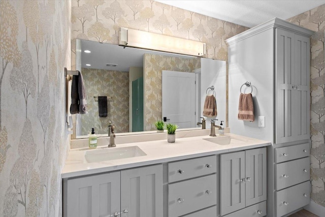 2041 Oak St, Lake City, MN 55041 - bathroom featuring double vanity and a sink