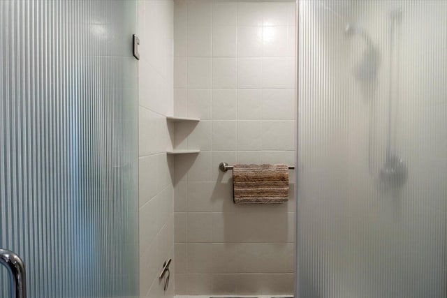 2041 Oak St, Lake City, MN 55041 - full bath featuring a stall shower