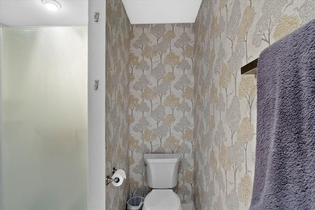 2041 Oak St, Lake City, MN 55041 - bathroom with toilet