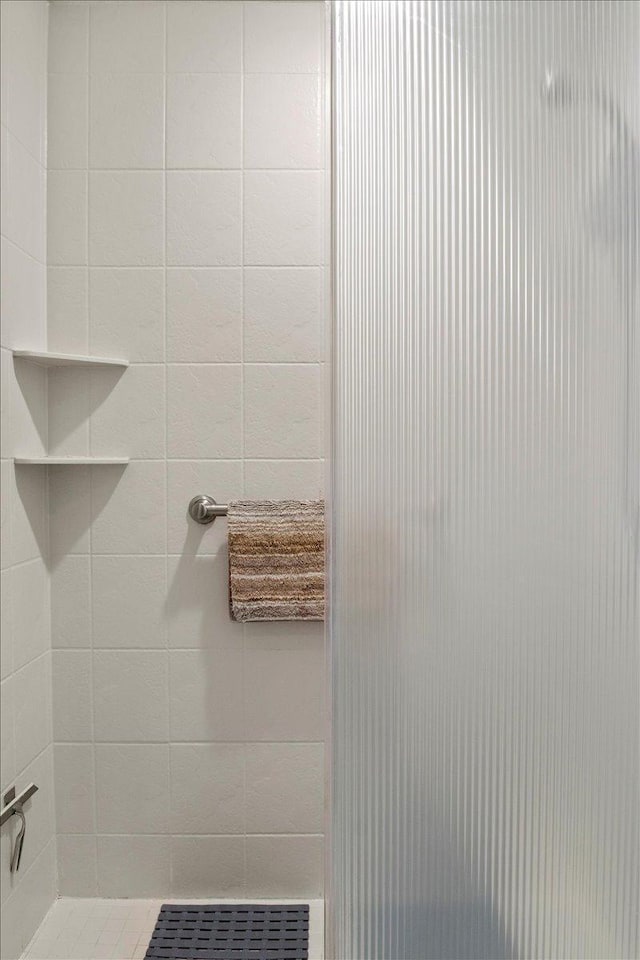 2041 Oak St, Lake City, MN 55041 - bathroom featuring a stall shower